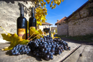 rajacke_pivnice_03