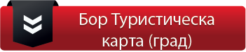mapa grad bor