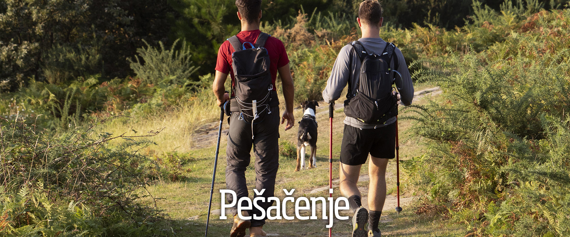 gde odsesti top