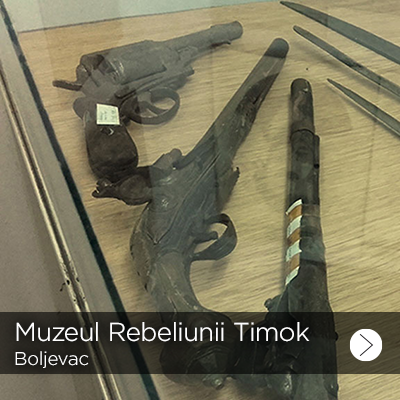 muzej timocke bune 1