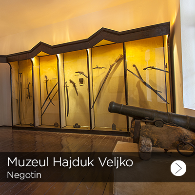 muzej hajduk veljka 1